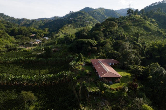 Kolombiya'da "Kahve Ekseni" 7