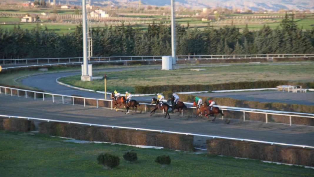 6 Mayıs 2023 Cumartesi Diyarbakır At Yarışı Program ve Tahminleri 4