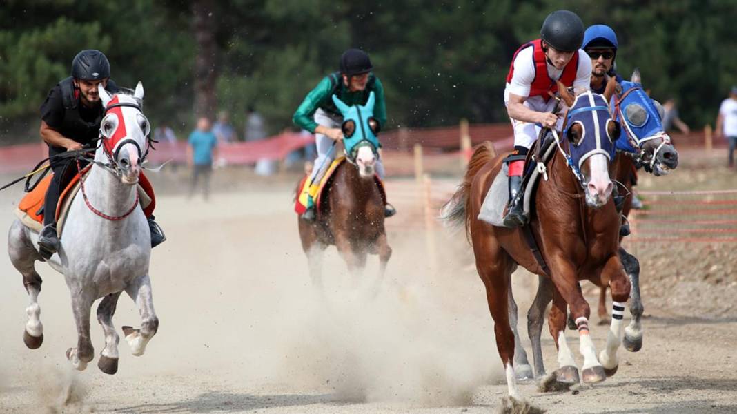 16 Mayıs 2023 Salı Adana At Yarışı Tahminleri ve Programı 2
