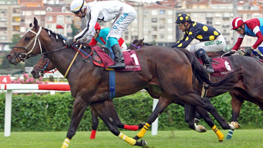 16 Mayıs 2023 Salı Adana At Yarışı Tahminleri ve Programı 1