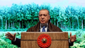 'Türkiye sınırları boyunca terörist tehdidi ortadan kalkana kadar durmayacak'