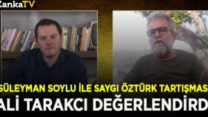 Ali Tarakcı, Süleyman Soylu'nun Saygı Öztürk'e gösterdiği tepkiyi değerlendirdi
