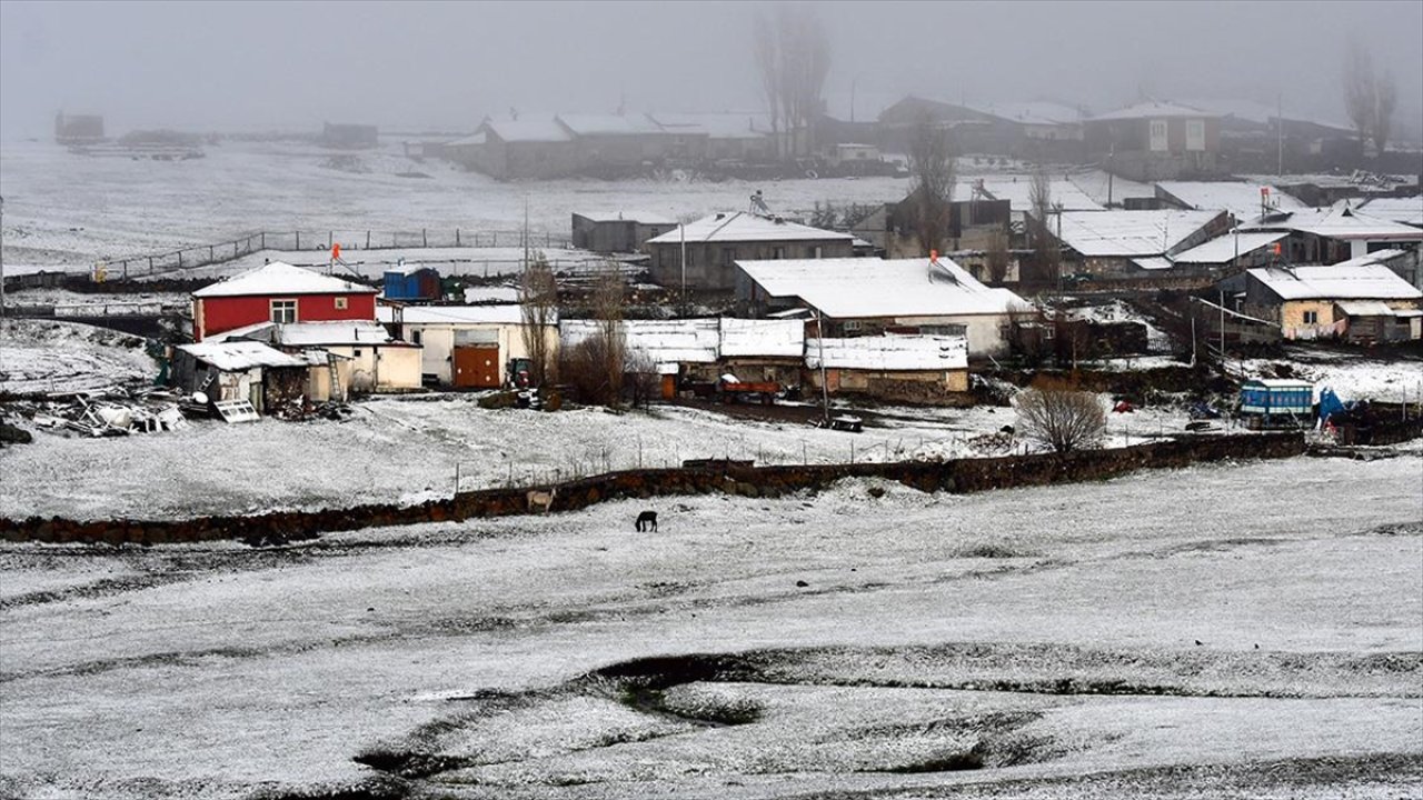 Kars ve Ardahan'da mayıs karı!