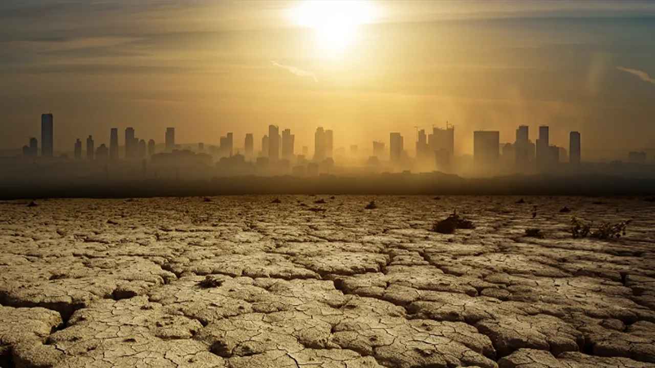 İklim krizi etkisi: "Yüzde 99'unun yok olacağı öngörülüyor"