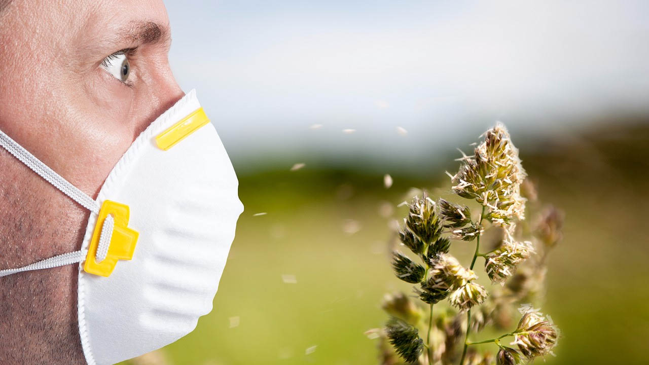 Bahar alerjisinden nasıl kaçınılır?