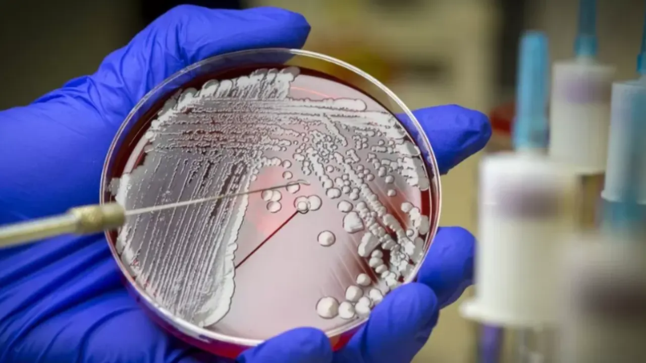 Bilim insanlarından yeni keşif: Dünyanın en tehlikeli bakterilerini yapay zeka öldürecek