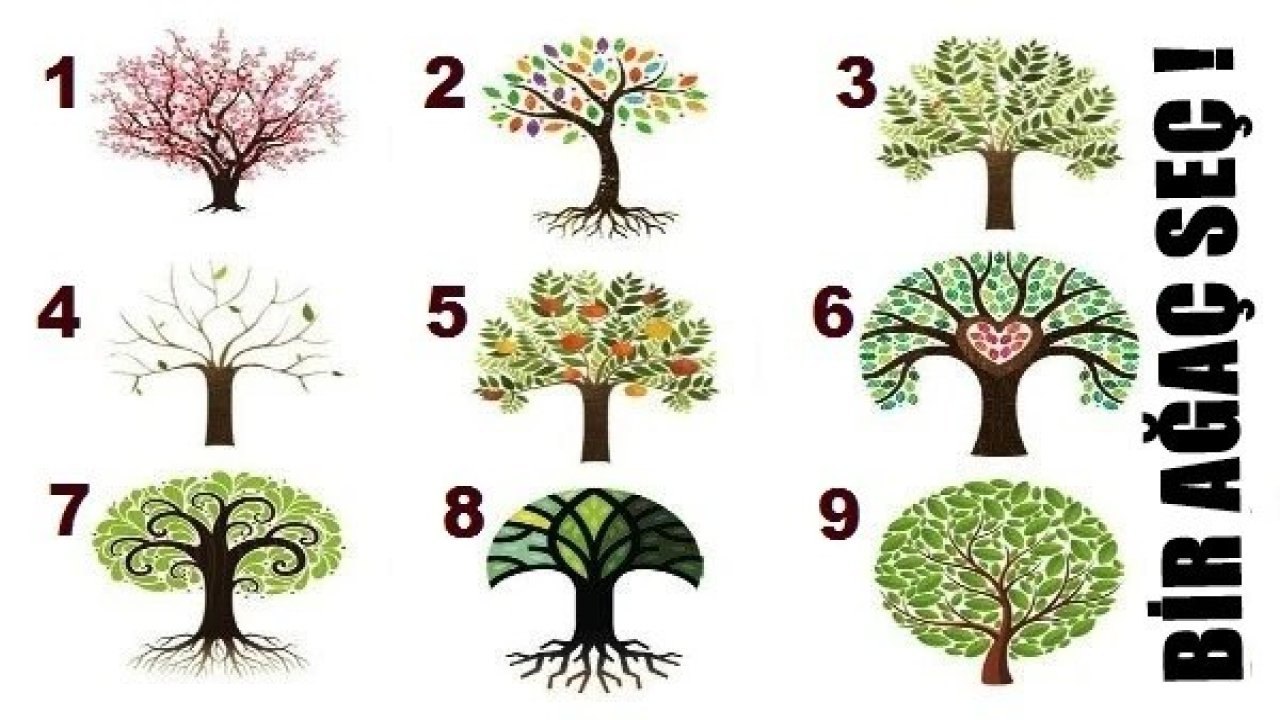 Sizin Baskın Özelliğiniz Ne? Seçtiğiniz Ağaç Kişiliğinize Ayna Tutuyor!