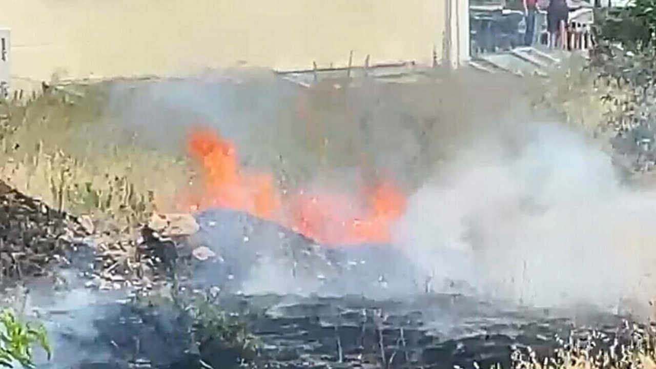 Bodrum'da otluk alanda yangın çıktı