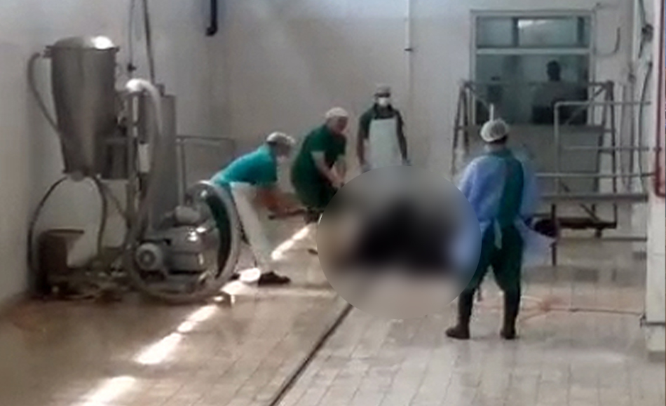 Et ve Süt Kurumu'nda dehşete düşüren olay: Gözaltına alındılar