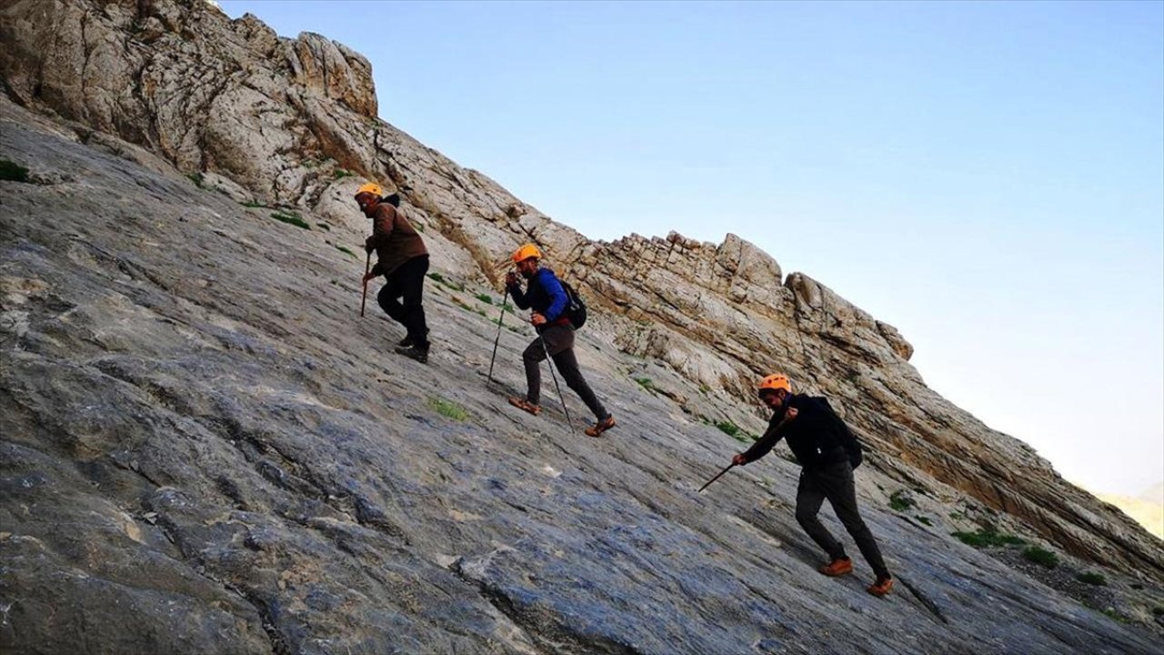 Dağcılar Sümbül Dağı'na tırmandı