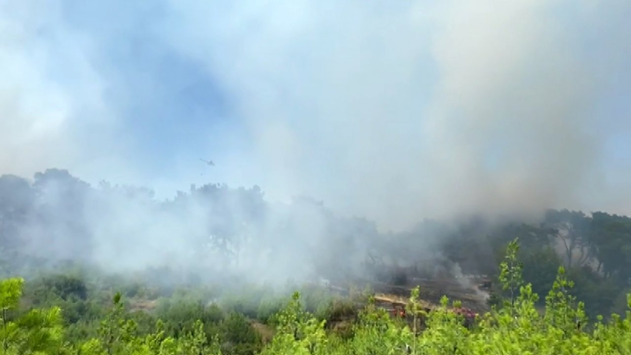 Antalya'daki orman yangını büyüyor