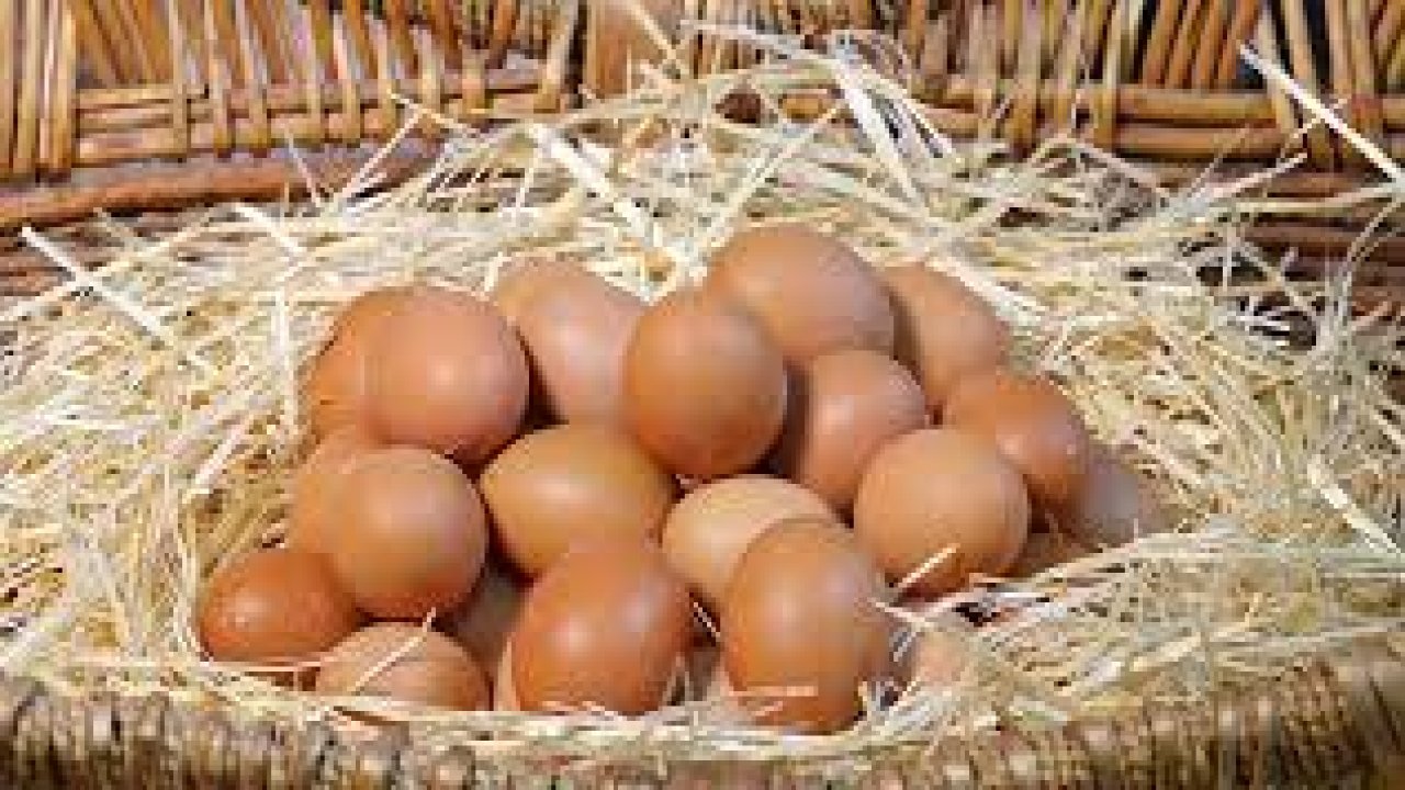 Haşlanmış Yumurtaların Saklanması ve İdeal Haşlama Teknikleri: Yumurtaları Taze Tutmanın İpuçları