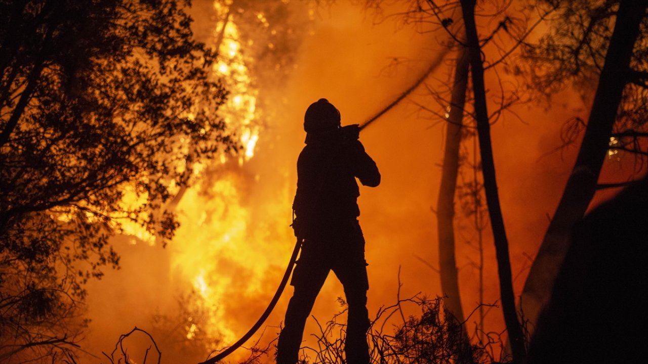 Orman yangınlarında acı tablo: Her 1 dakikada 11 futbol sahası büyüklüğünde alan yok oldu