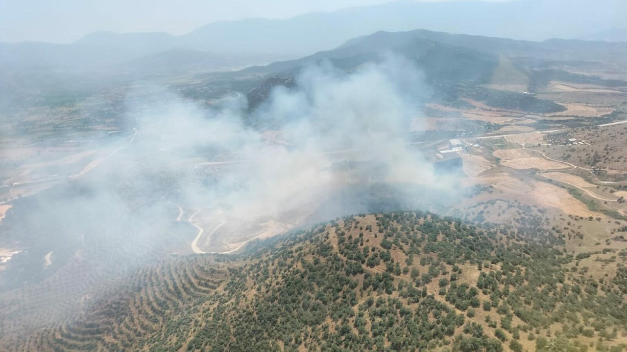 İzmir'de korkutan yangın! Ormana sıçradı
