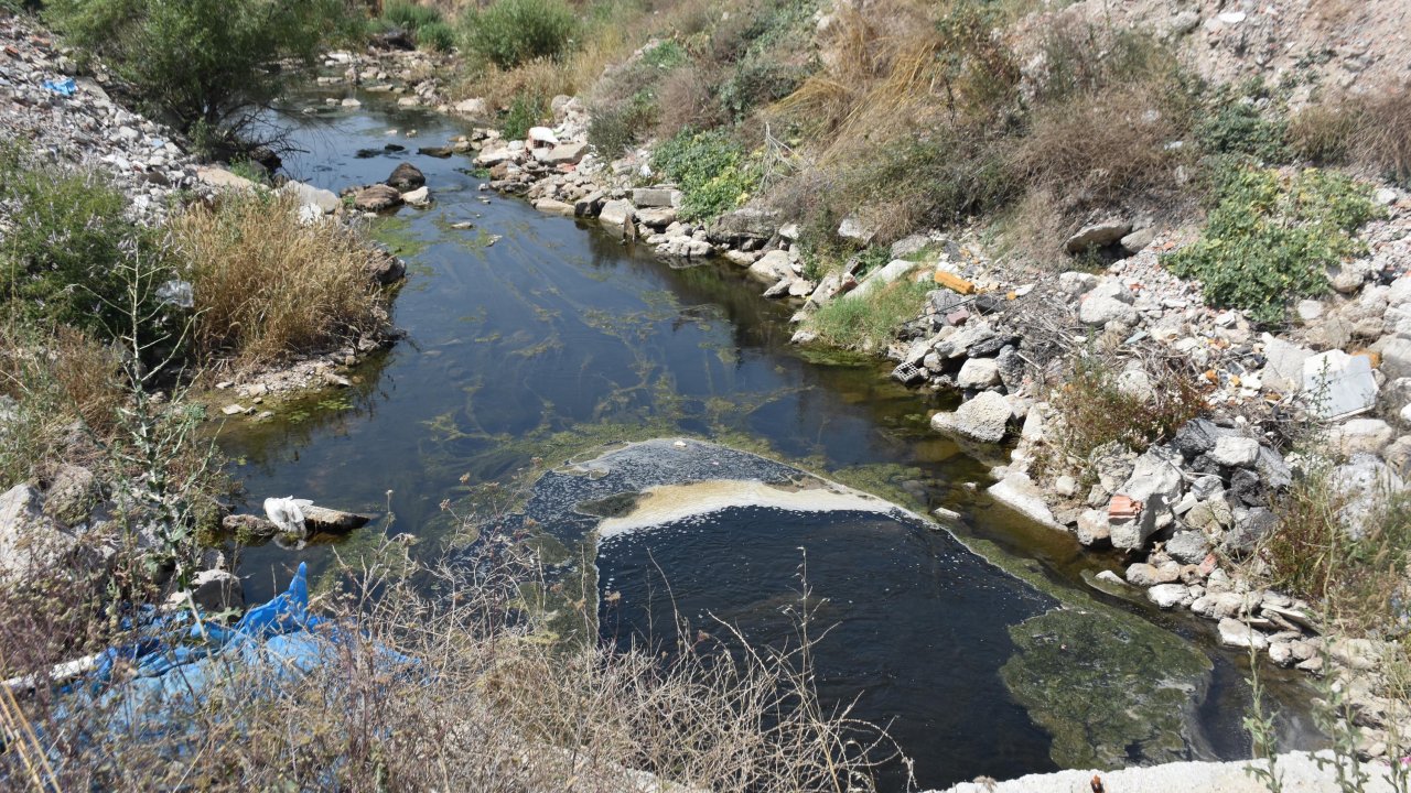 Kentin önemli ölçüde su ihtiyacını karşılayan barajda doğa kirliliği: Kalıcı tedbir yok