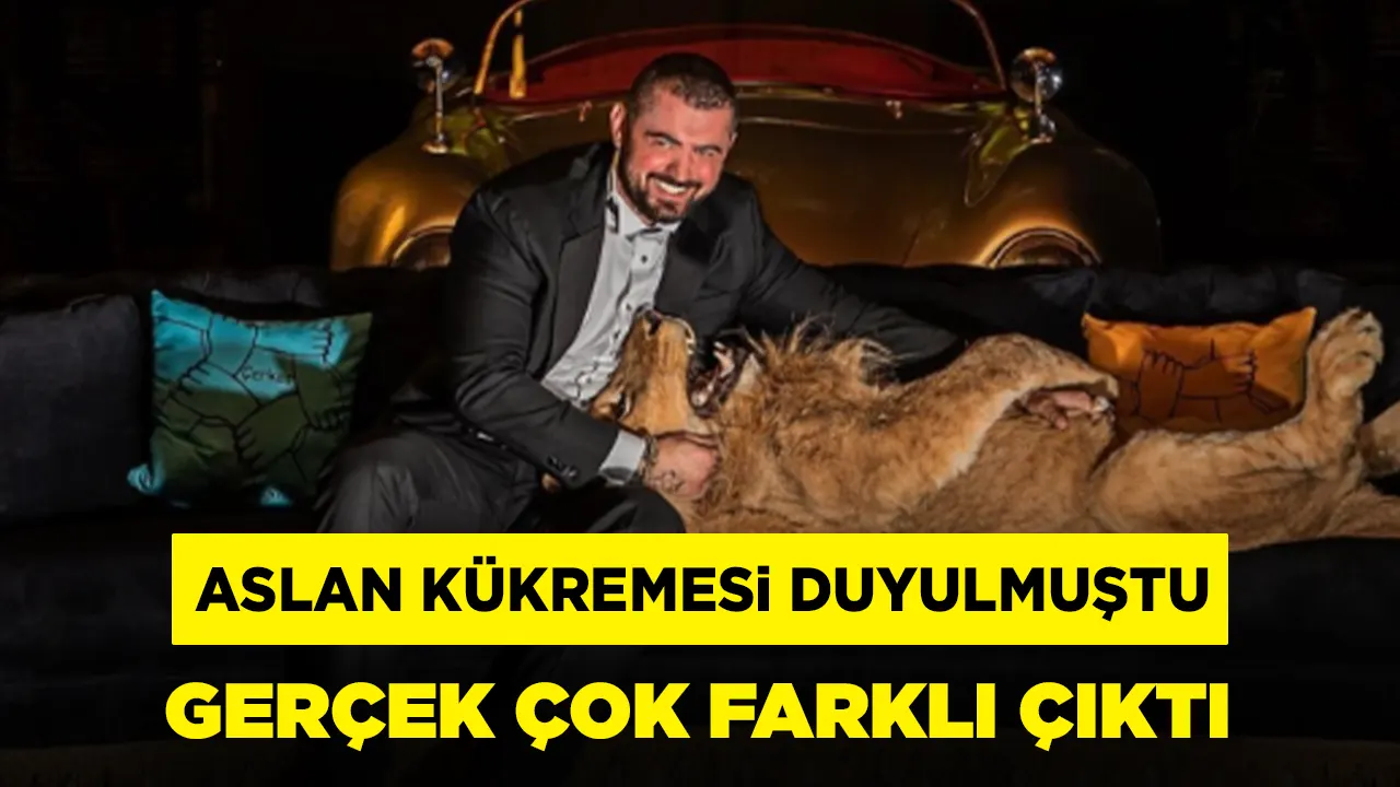 Cengiz Şıklaroğlu’nun aslanı ormana kaçtığı iddiaları gündem olmuştu: Gerçek ortaya çıktı