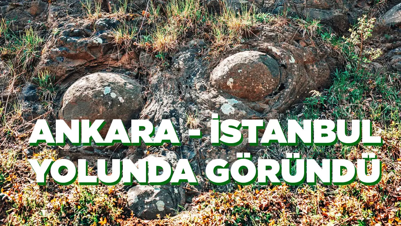 Zonguldak'ta Keşfedilmeyi Bekleyen Yumurta Kayaları
