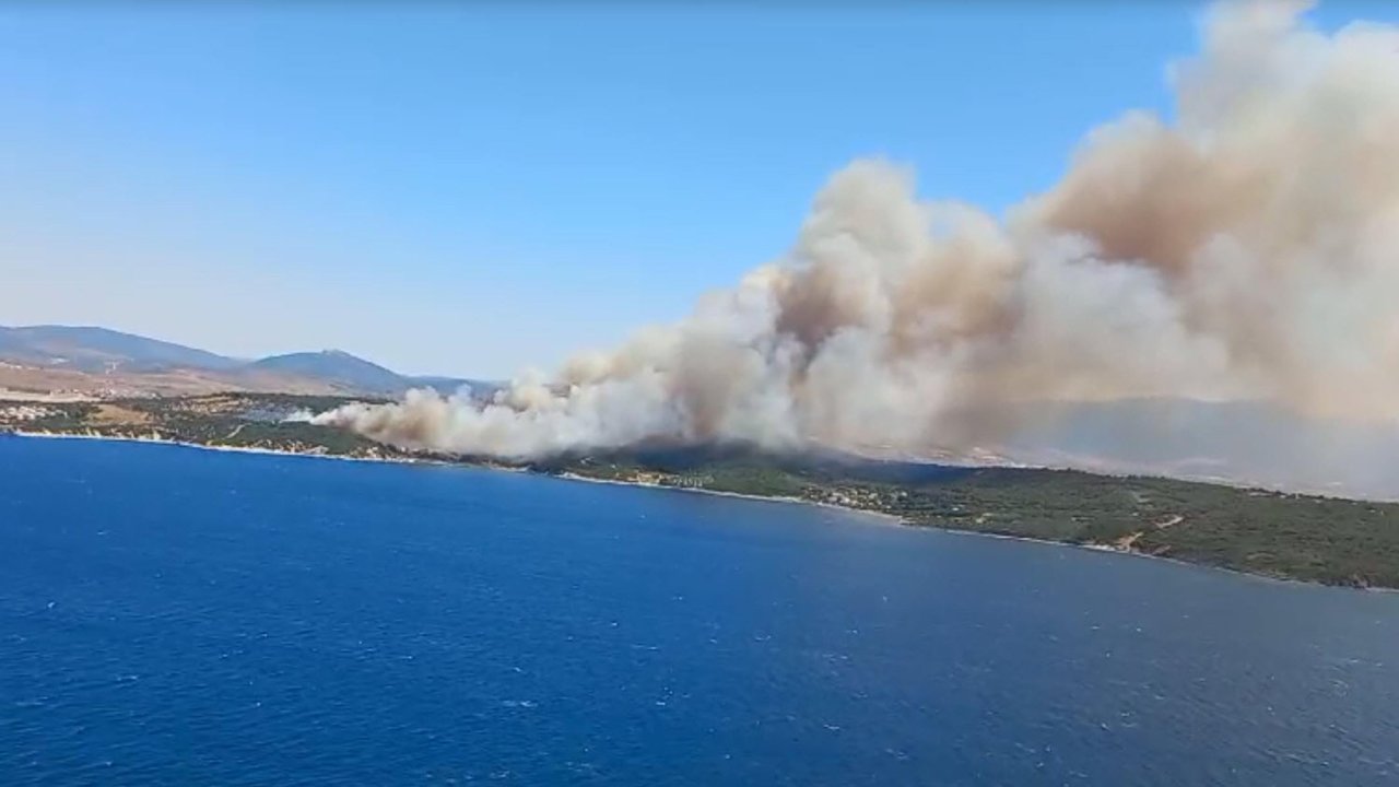 İzmir'de iki ayrı noktada orman yangını