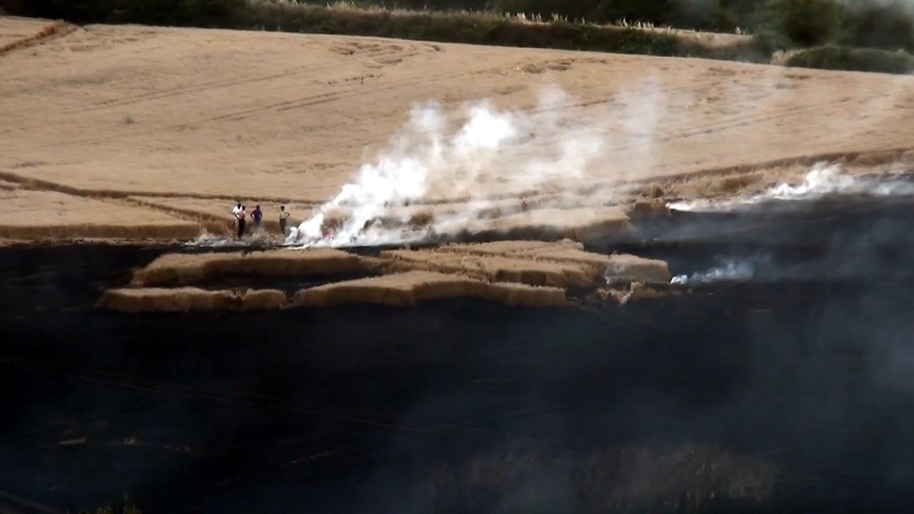 Tekirdağ'da yangın: 60 dönüm ekili buğday kül oldu