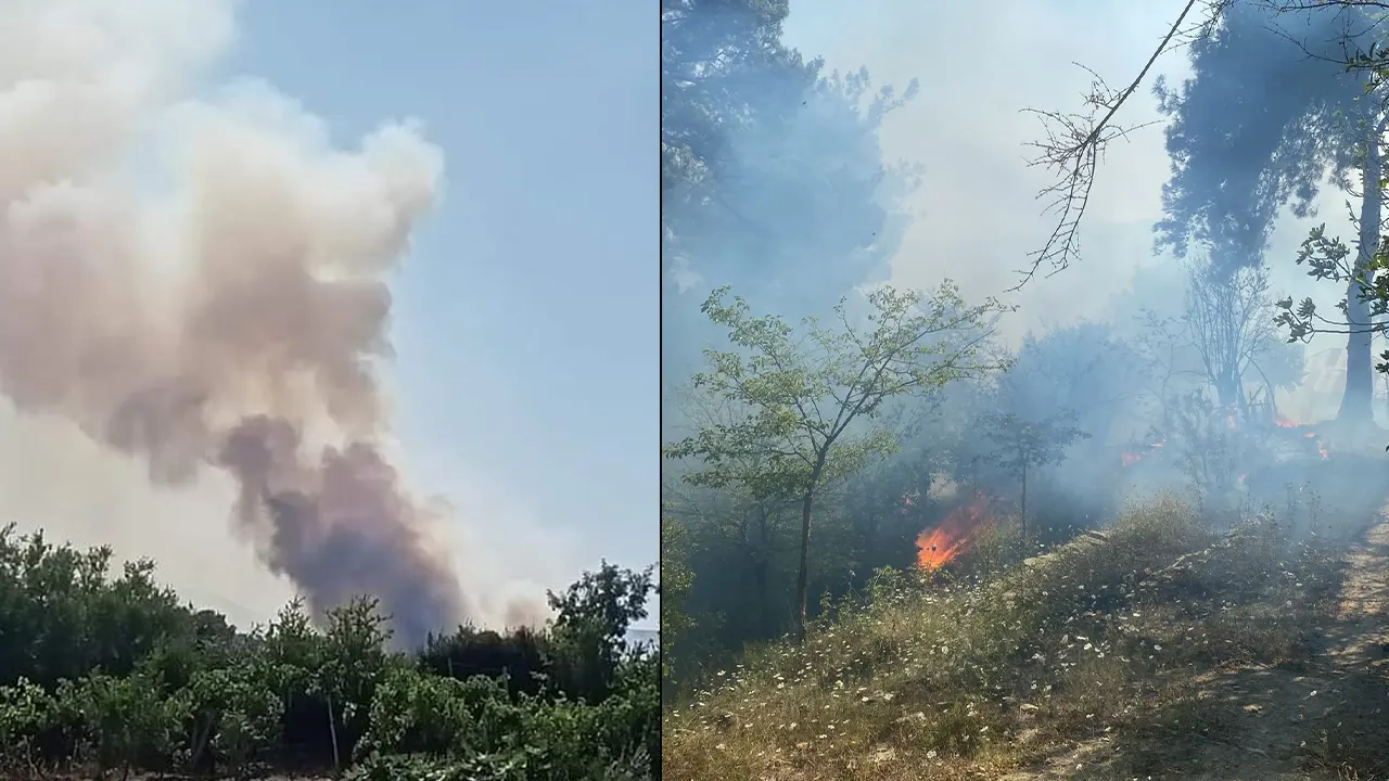 Adana'da iki farklı noktada orman yangını