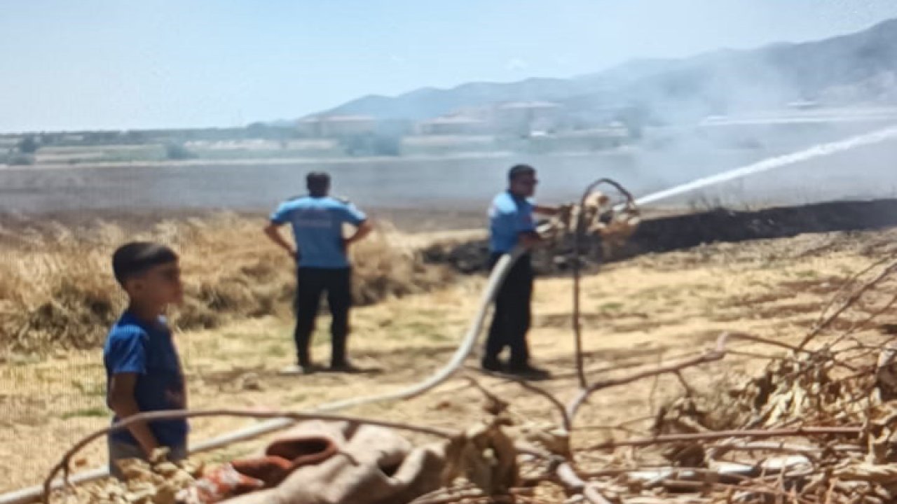 Gaziantep'te anız yangını: 45 dönüm ile ağaçlar küle döndü