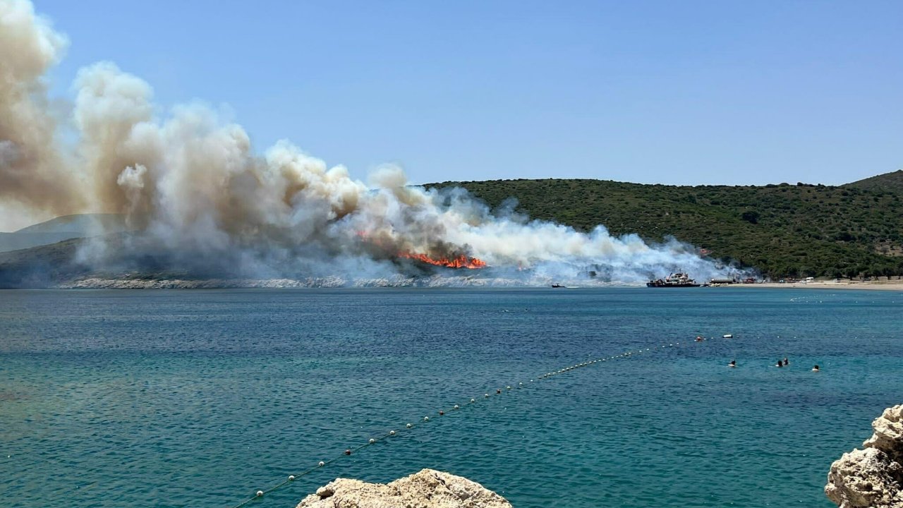 İzmir ve Muğla'da yangın: Havadan ve karadan müdahale ediliyor