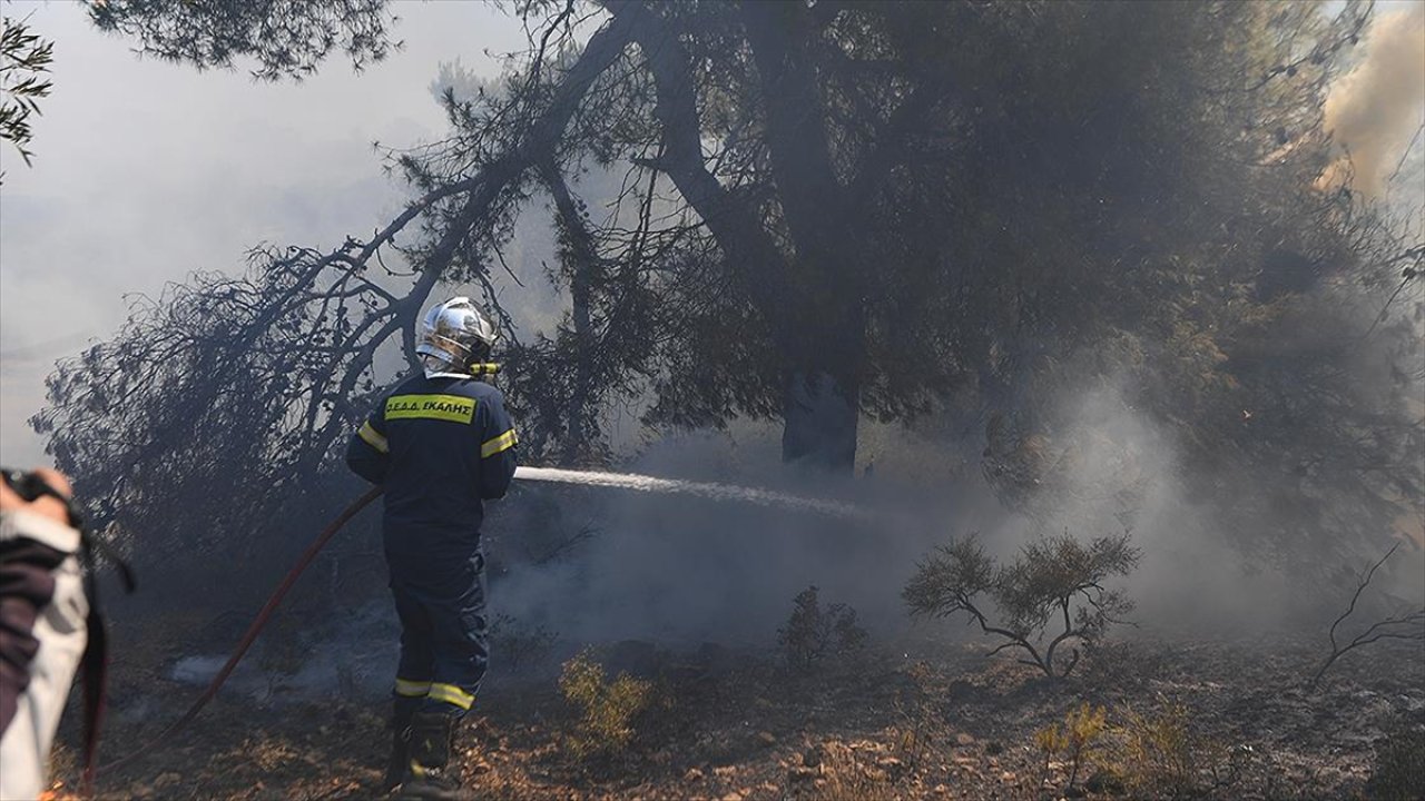 Ülkede son 24 saatte 46 orman yangını