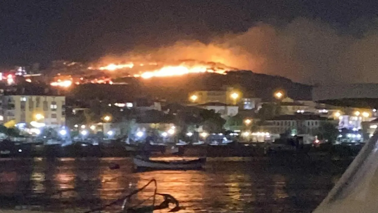 Ayvalık'taki yangında 6 hektar zarar gördü