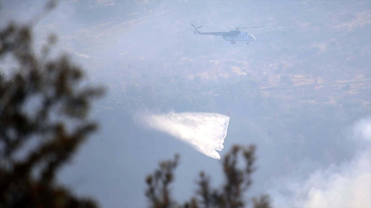 Çanakkale'deki orman yangını devam ediyor