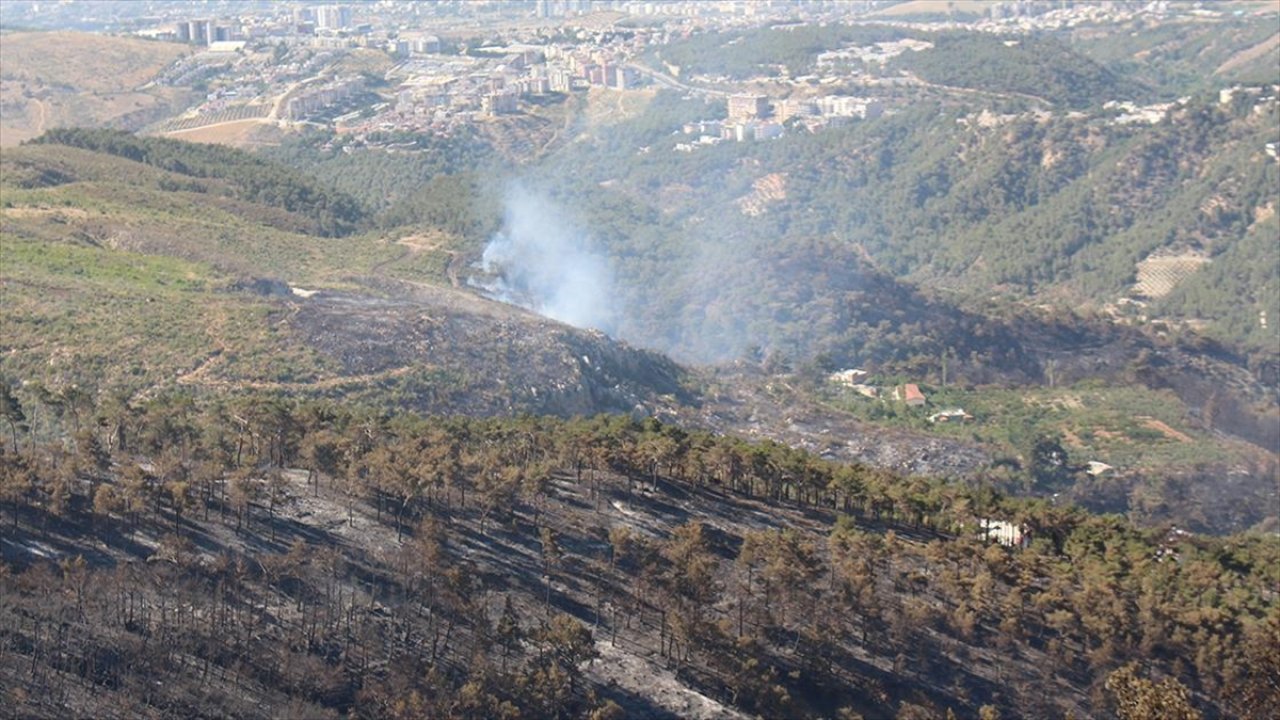 Hatay'ın Belen'deki orman yangını kontrol altında