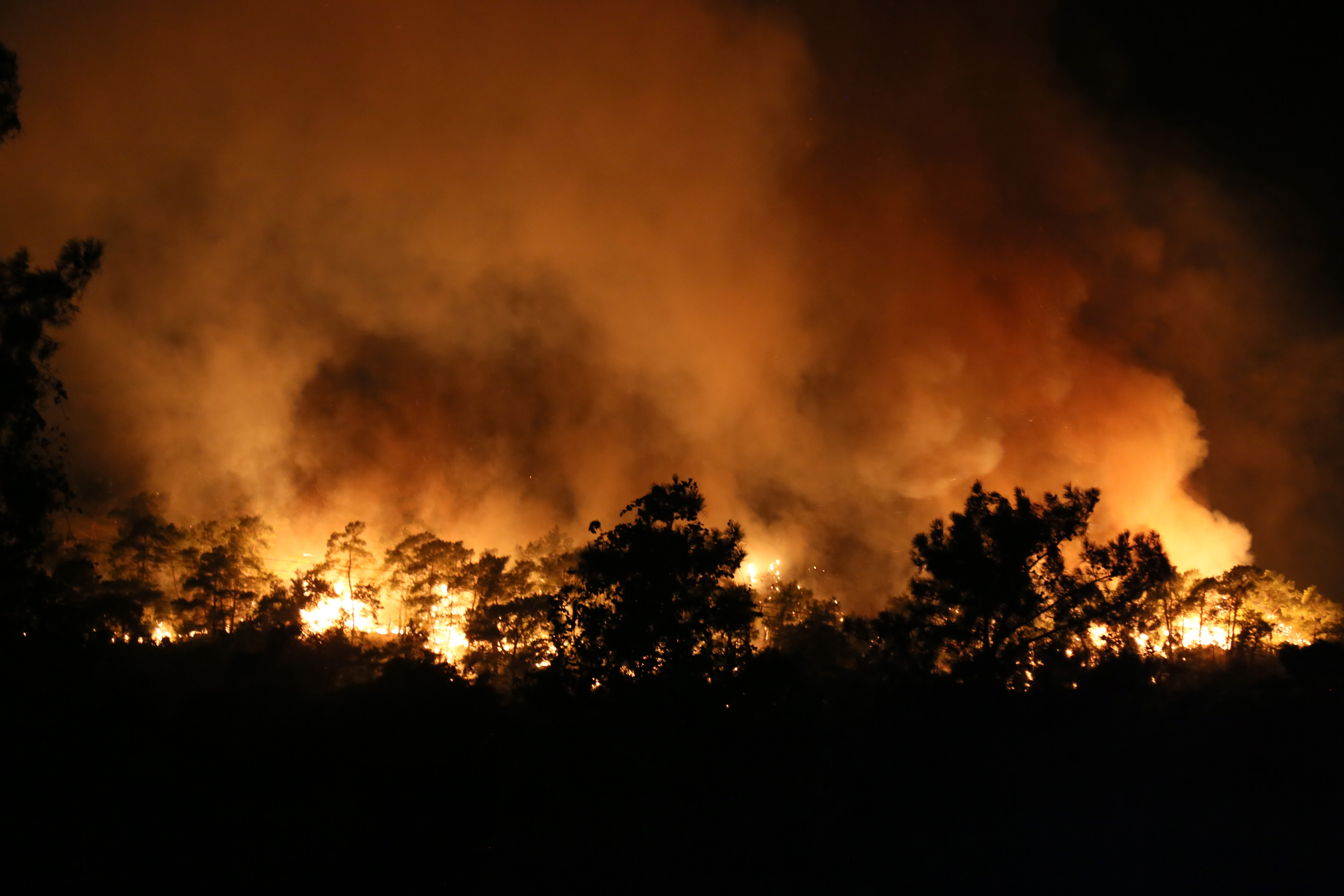 Kemer alev alev yanıyor! Devlet hastanesi ve evler tahliye edildi