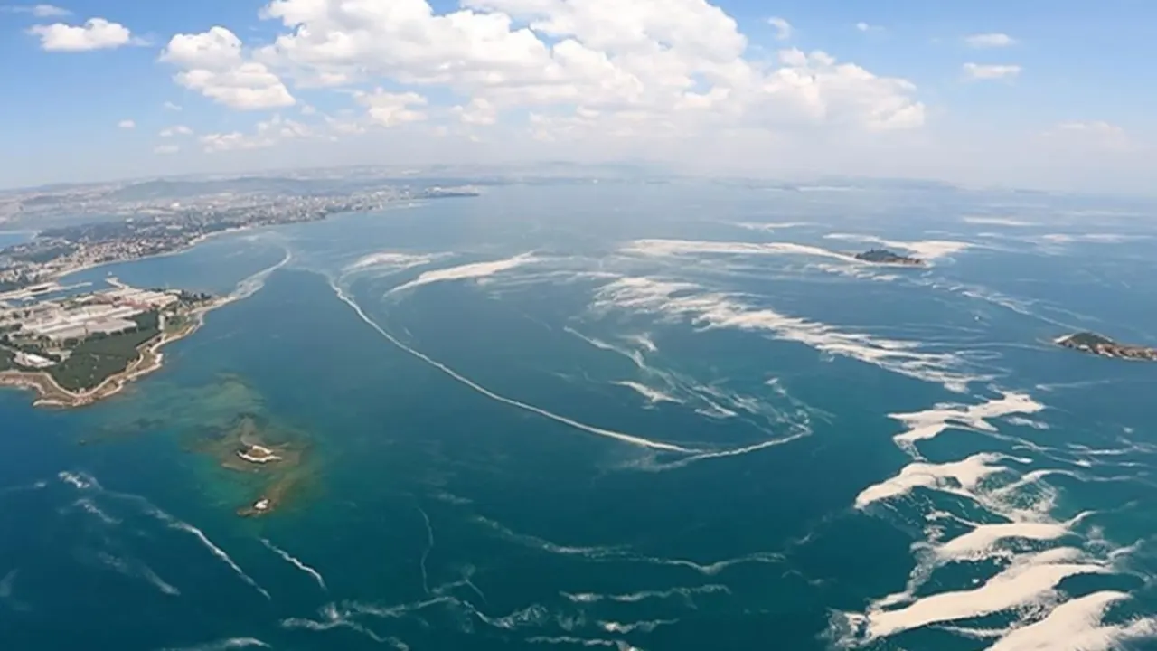 Marmara Denizi için felaket senaryosu: Ölü bir denize dönebilir