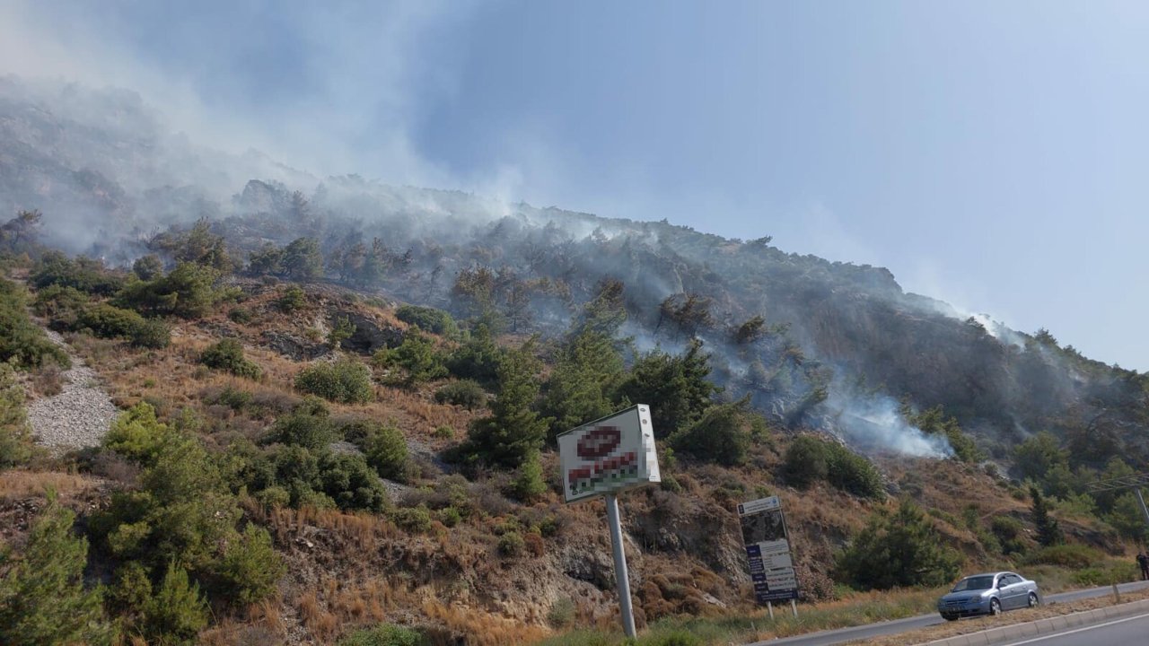 Bir orman yangını daha: Saatler sonra kontrol altına alındı