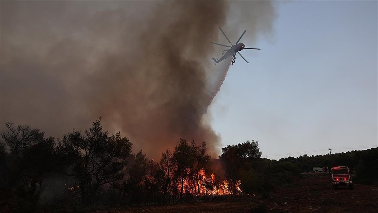 DSÖ'den acı tablo: Orman yangınları 40 kişinin ölümüne neden oldu