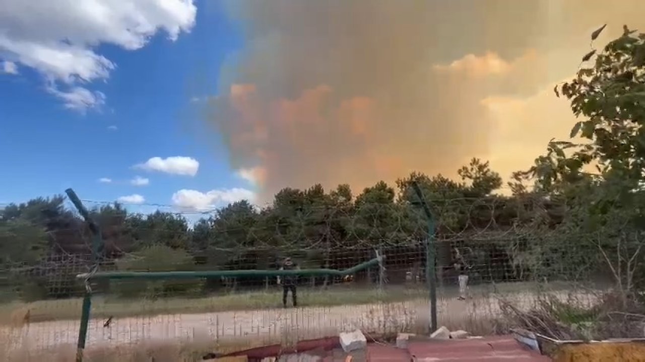 İstanbul'da orman yangını!