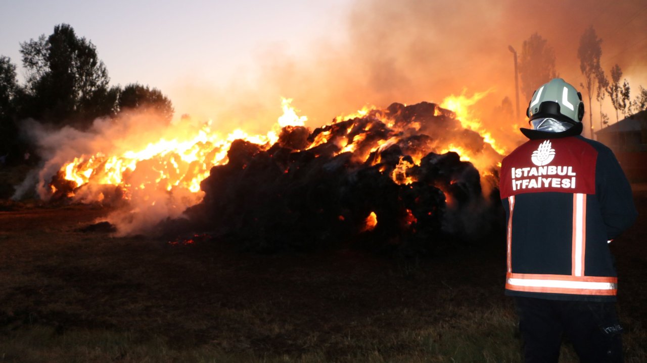 Yüksekova'da yangın