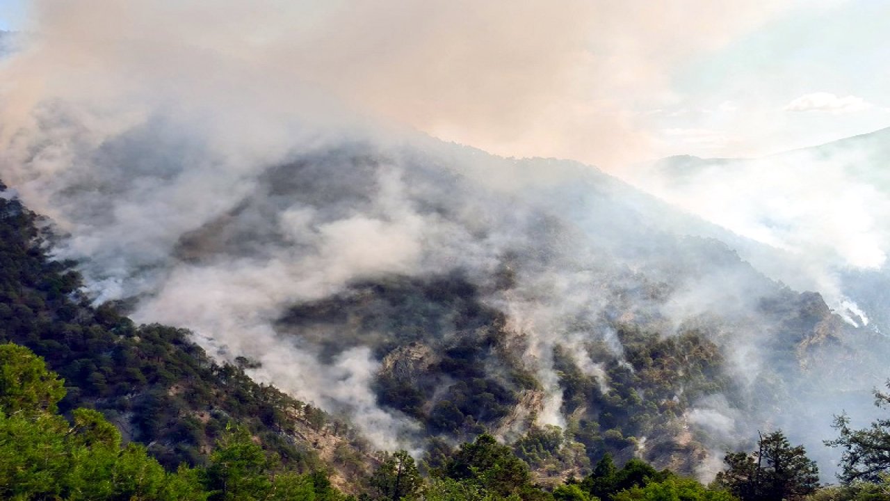 Bolu'daki orman yangını kontrol altına alındı