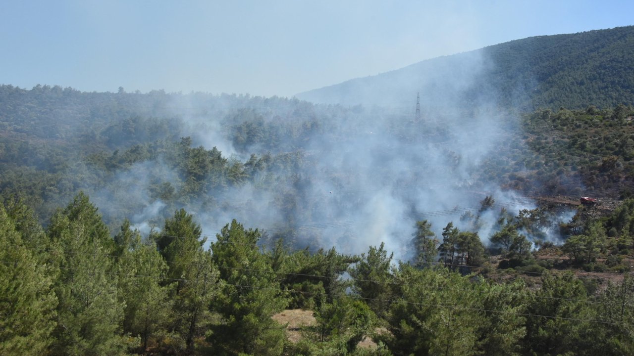 İzmir’deki 3 yangın: 25 hektar alan zarar gördü
