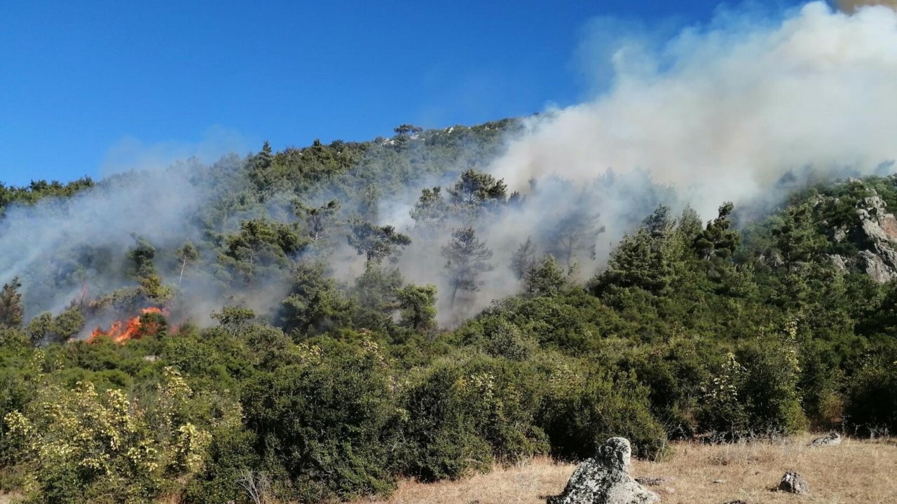 Manisa'da orman yangını: Havadan ve karadan müdahale ediliyor
