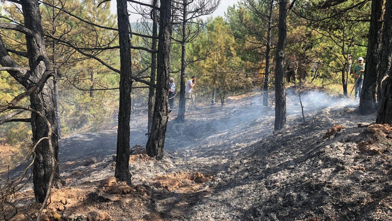 Bilecik'te orman yangını: Havadan ve karadan müdahale ediliyor