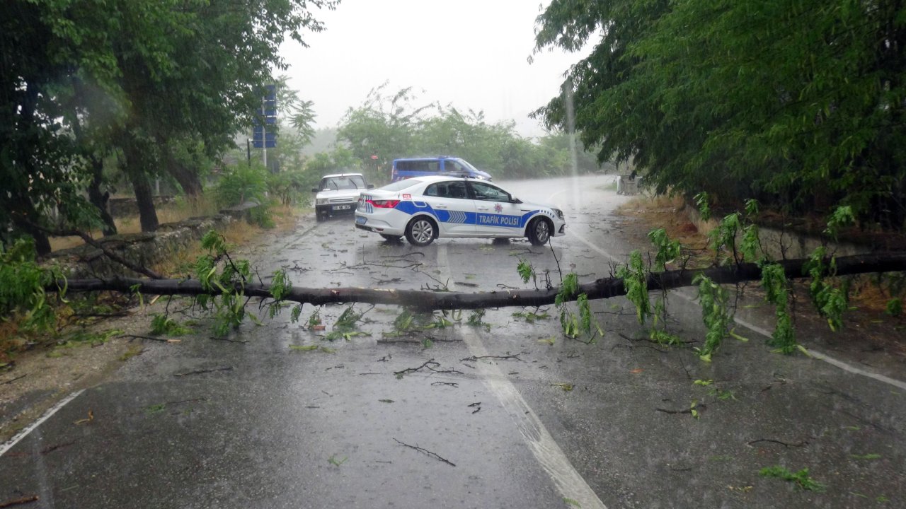 Yağmur ve fırtına kenti vurdu; ağaçlar arabaların üstüne devrildi