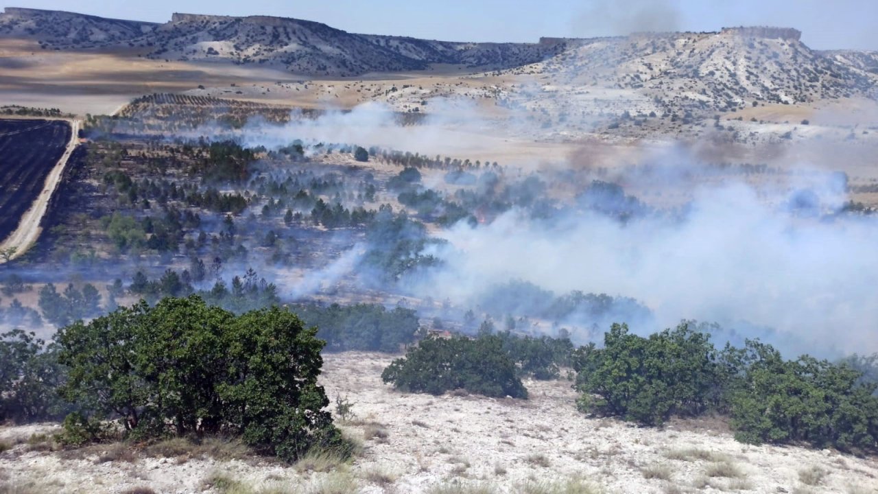 Kentteki 3 ayrı orman yangını erken müdahaleyle söndürüldü