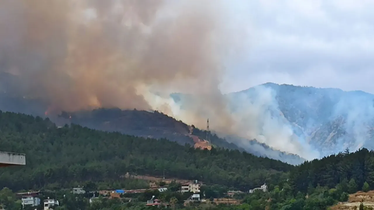 Hatay'da orman yangını: 4 kişi gözaltında