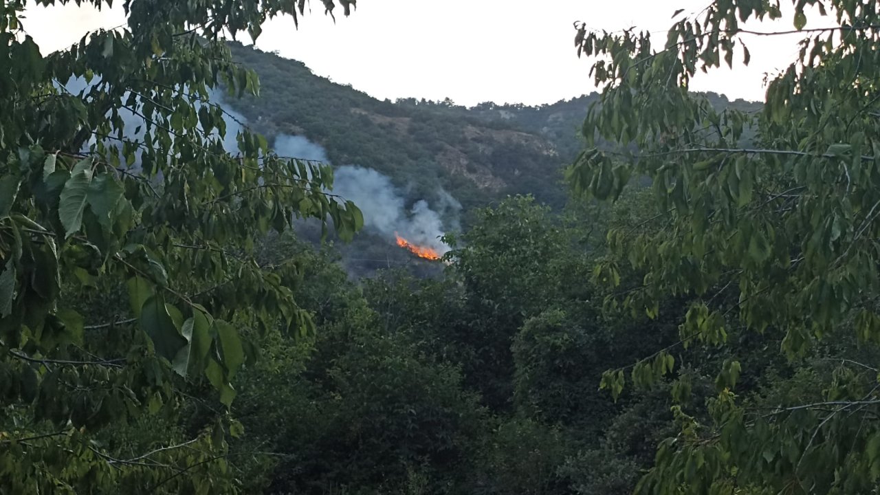Kastamonu'da orman yangını: Müdahale sürüyor