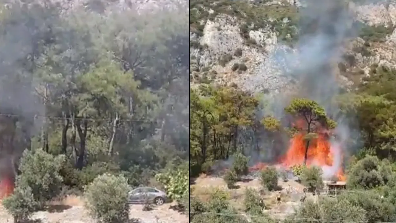 Milas'taki orman yangınında sabotaj şüphesi: Görüntüler ortaya çıktı