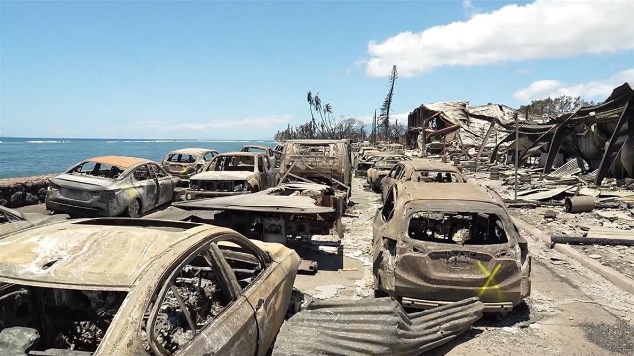 Hawaii'deki orman yangınları: Hayatını kaybedenlerin sayısı 99'a çıktı