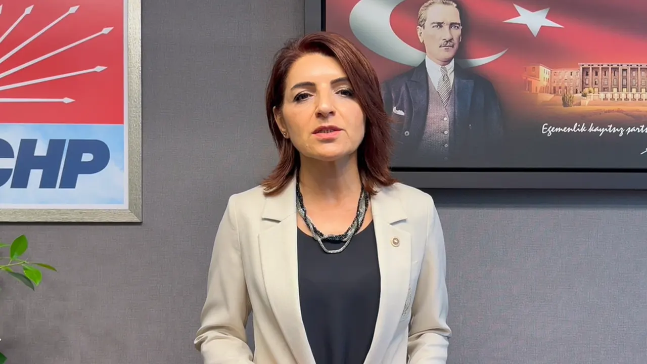 CHP'li Gülcan Kış: Bu millet affetmeyecek!