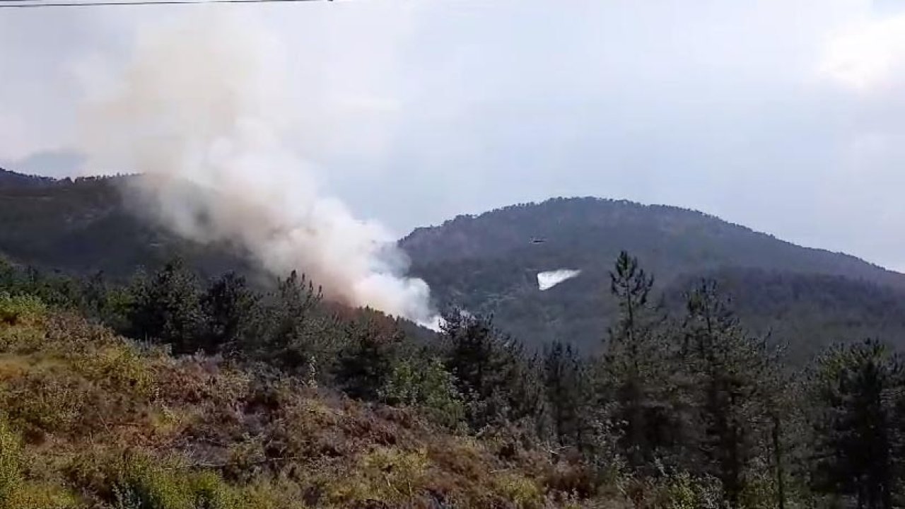 Bolu'da orman yangını: Havadan ve karadan müdahale ediliyor