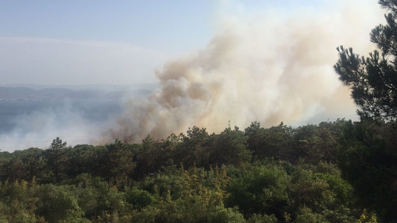 TÜBİTAK yerleşkesinde yangın: Dumanlar kilometrelerce uzaklıktan görüldü
