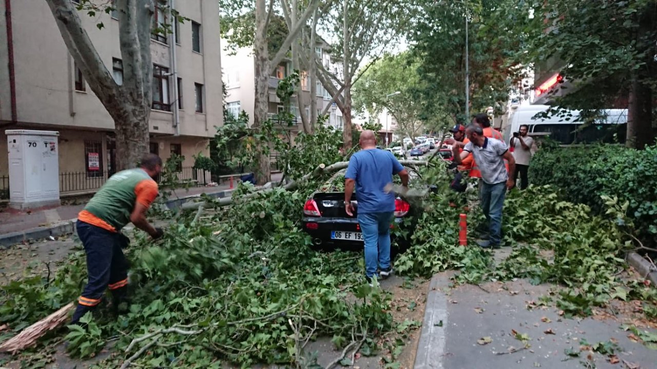 Şehri kuvvetli rüzgar vurdu: Ağaçlar devrildi, çatılar uçtu